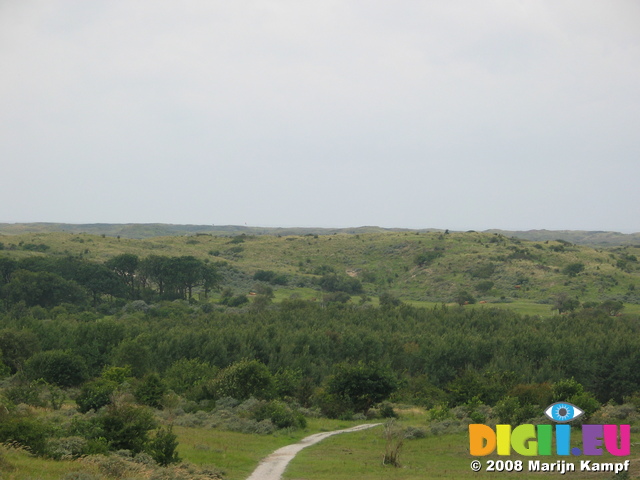 28138 View from Kennemerduinen